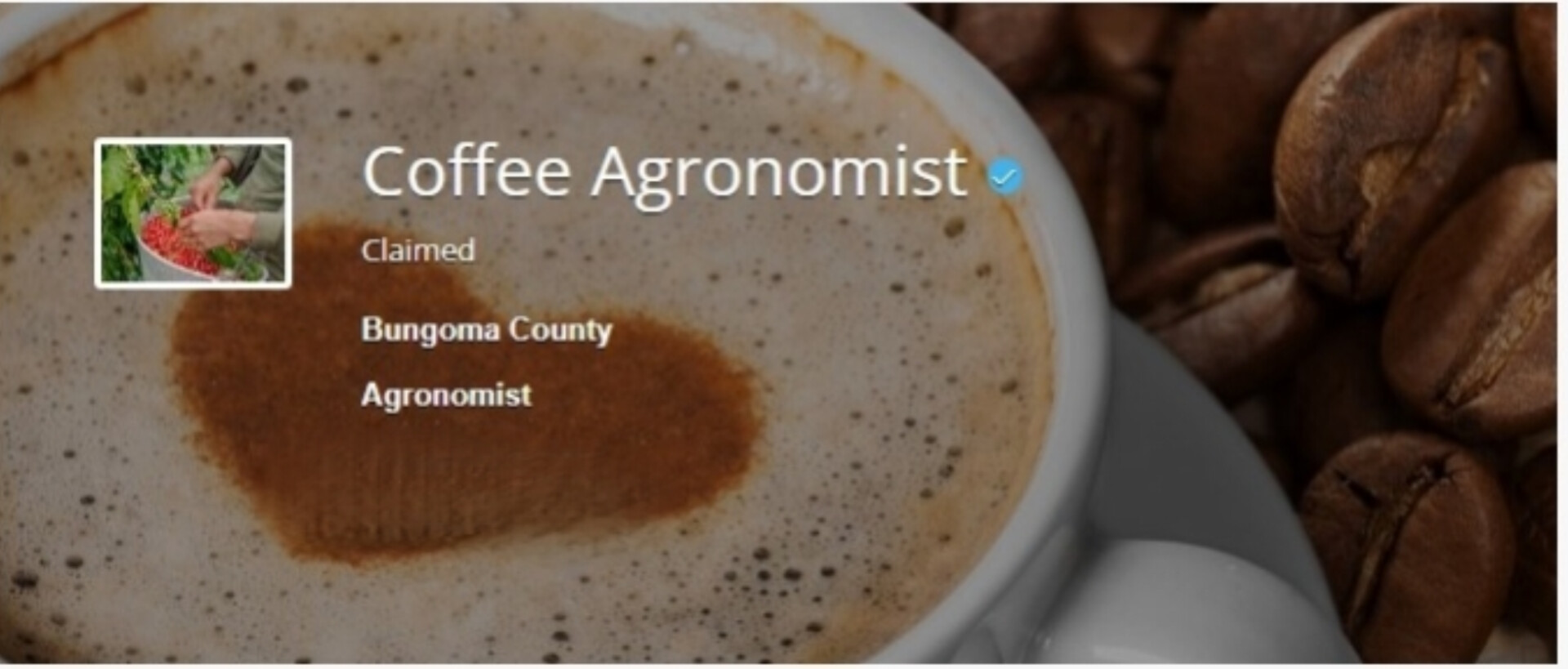 Coffee Agronomist