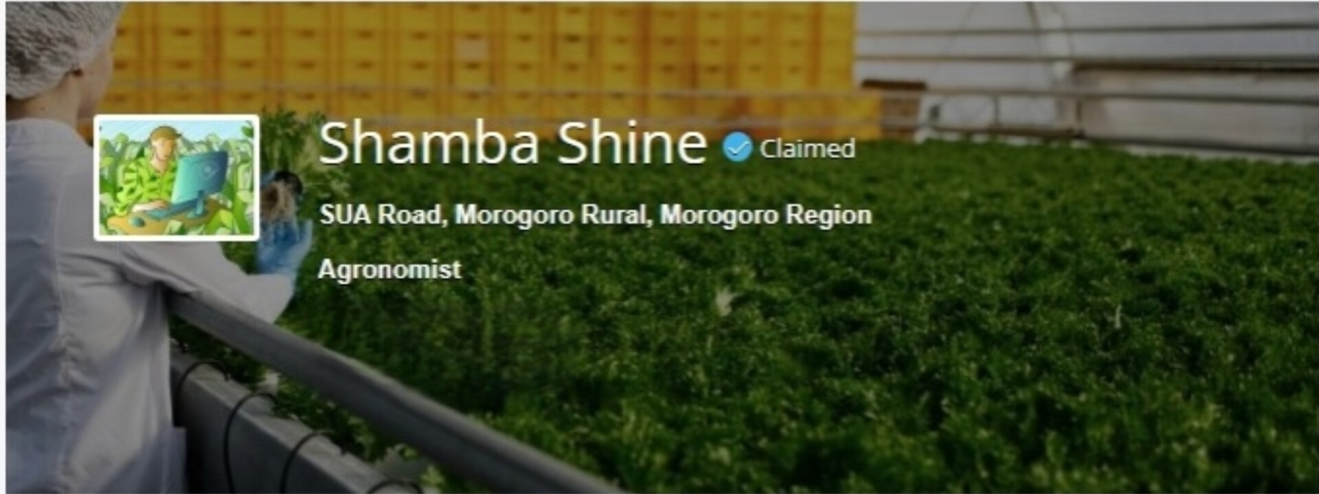 Shamba shine