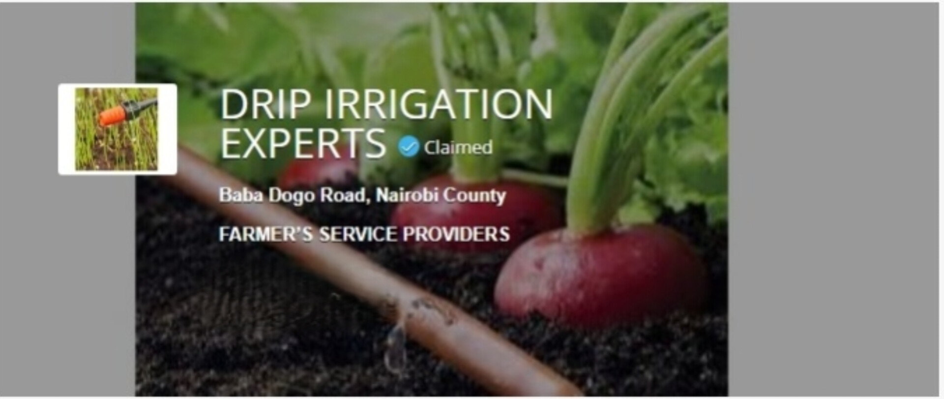 Drip Irrigation Experts