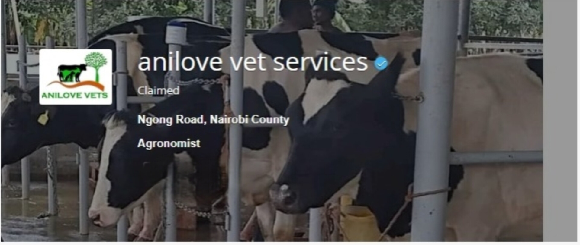 Anilove Vet Services