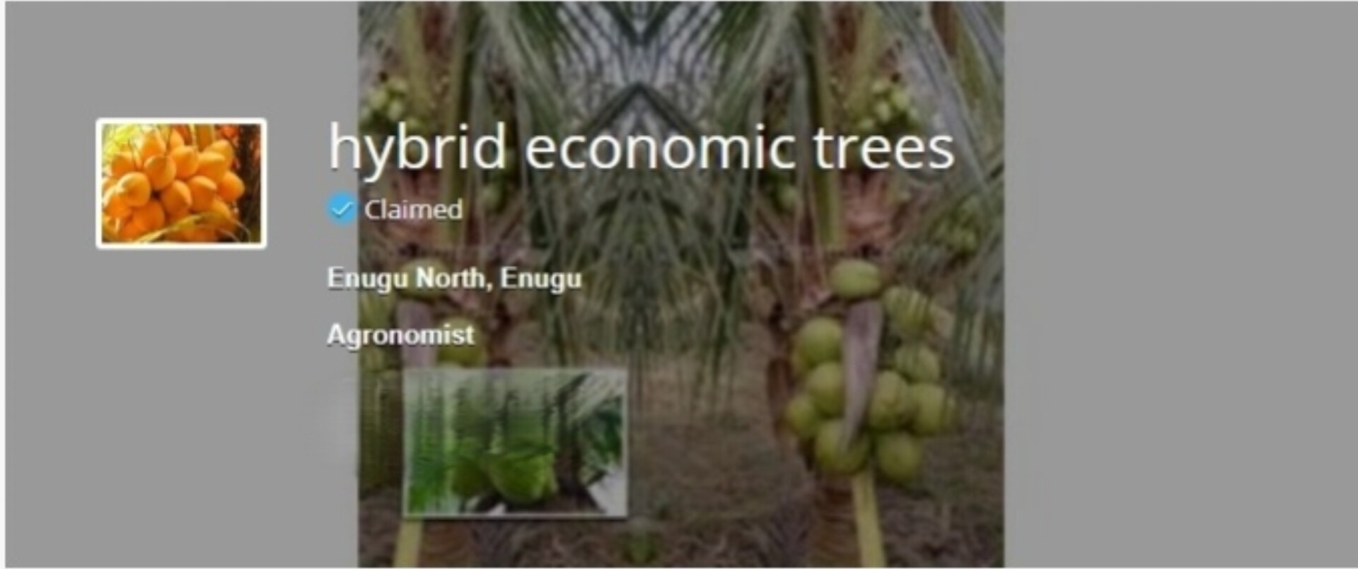 Hybrid economic trees